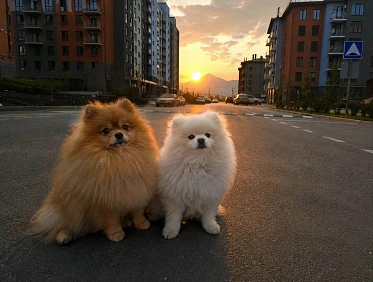 «ФотоFerrisФест» в Железноводске  завершён!